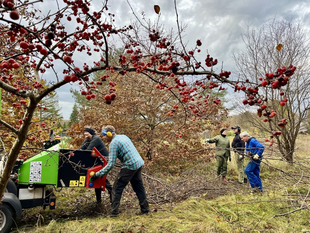 Fælles arbejdsdag i Oasen